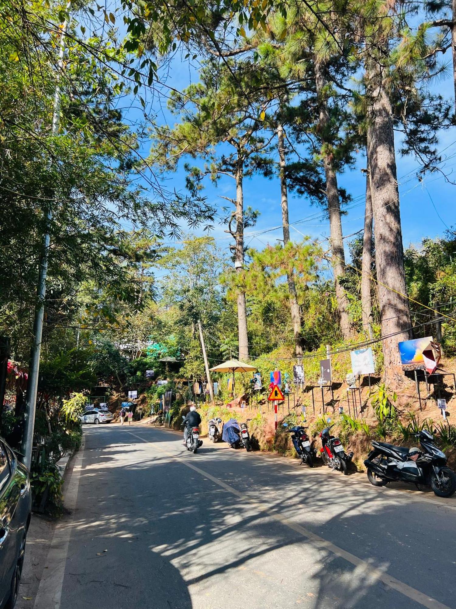 Nature Hotel - Dalat 3 Экстерьер фото
