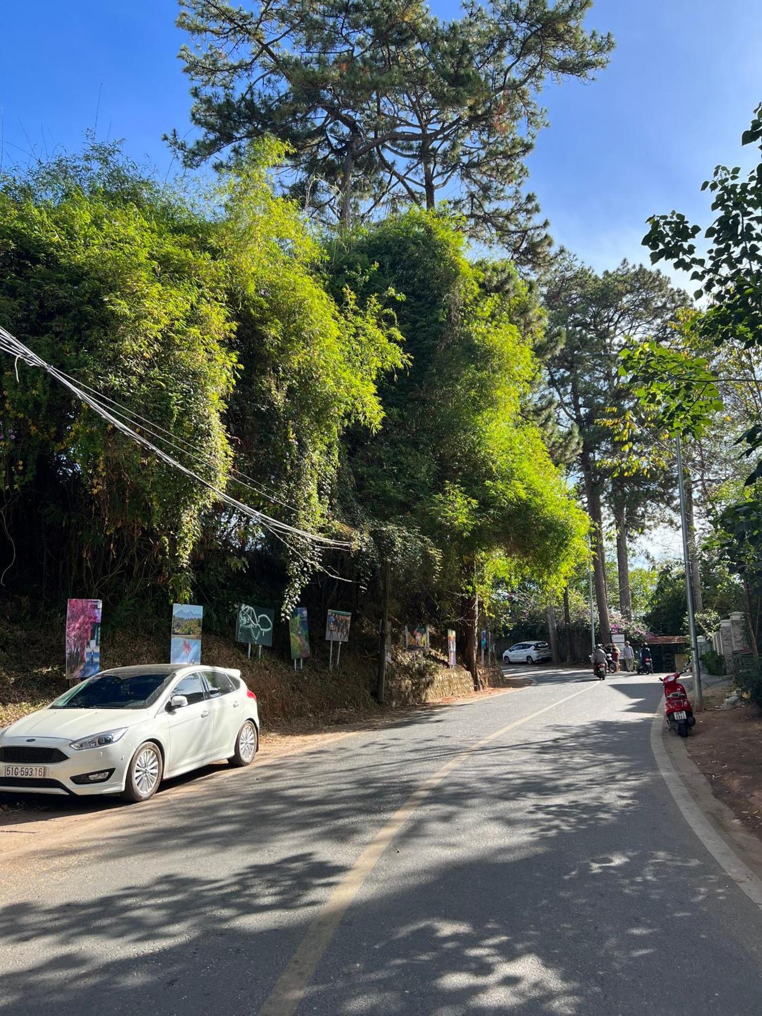 Nature Hotel - Dalat 3 Экстерьер фото